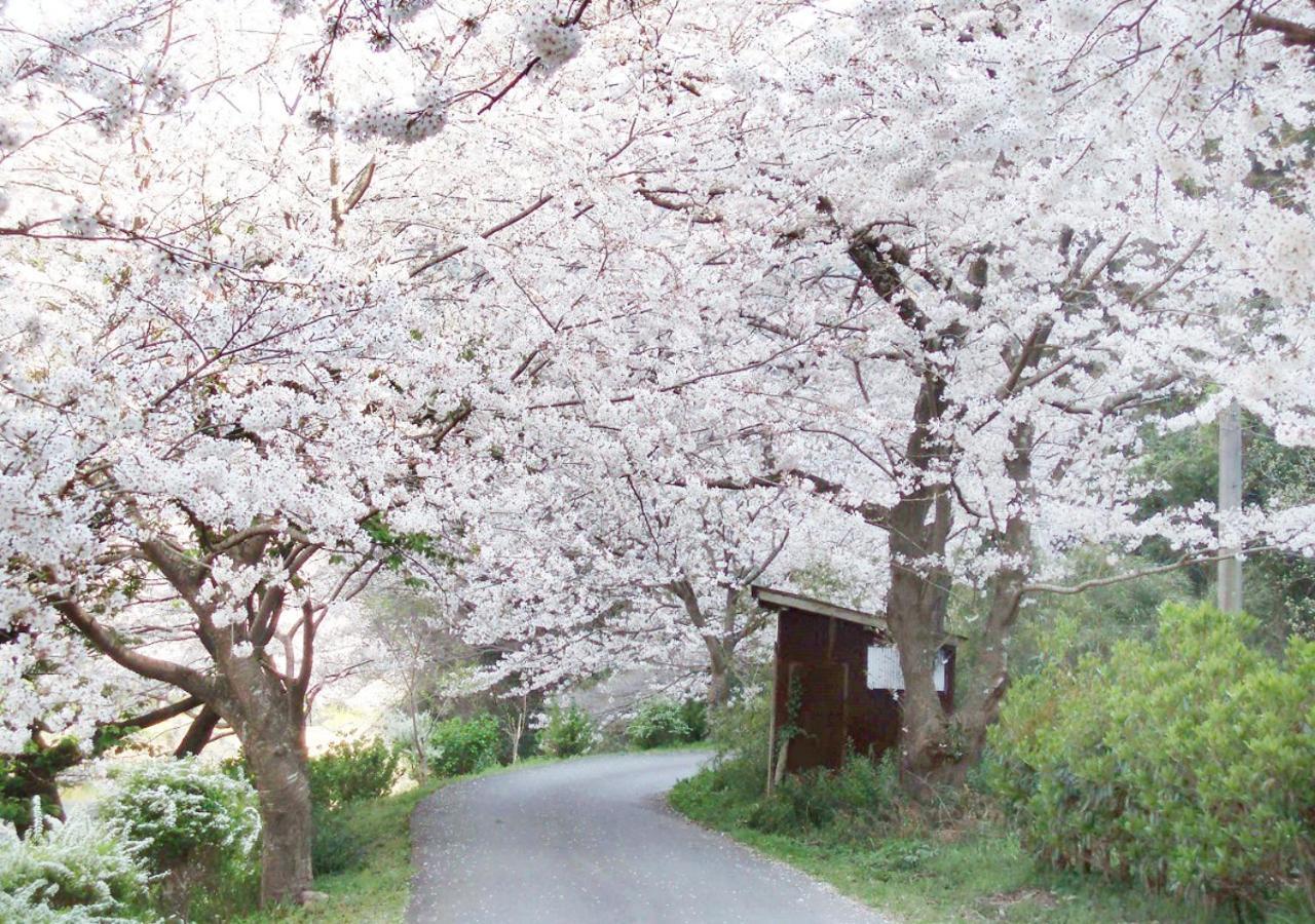 Nishiizu Matsuzaki Itoen Hotel מראה חיצוני תמונה